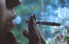 香烟“克星”找到了 吸烟的人多吃，给肺“洗洗