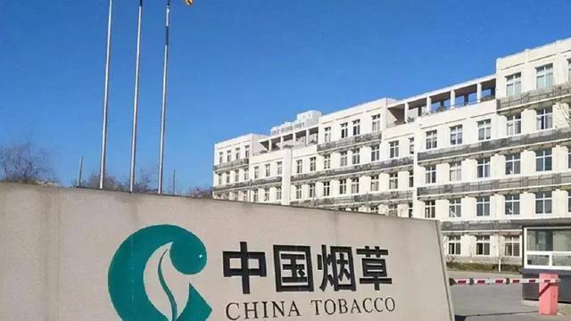 中国烟草市场网